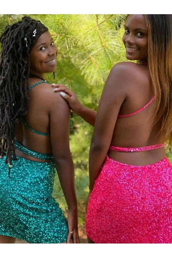 Best V-Neck Sleeveless Short Velvet Sequin Cocktail Dress